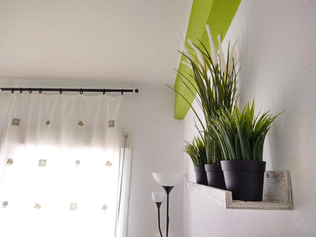 Apartamento Coqueto Miniapartamento Junto Centro