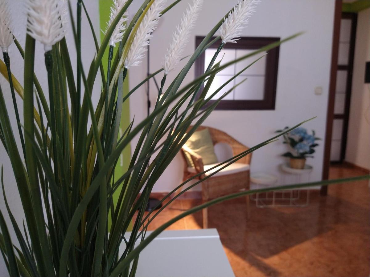 Coqueto Miniapartamento Junto Centro Appartement Torremolinos